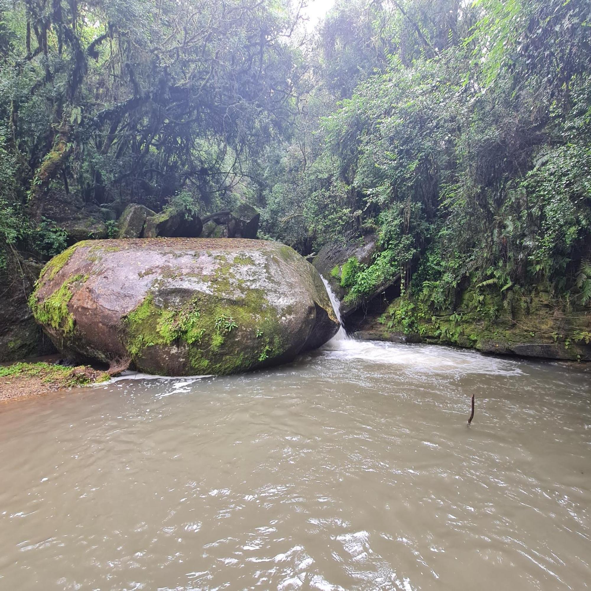 Kukummi Lodge - Formerly Mackaya Bella Country Lodge Champagne Valley Bagian luar foto